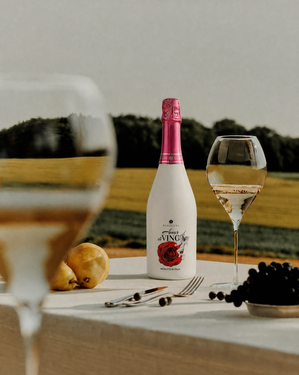 Lifestyle shot of Amor diVino Pink Moscato for a romantic toast